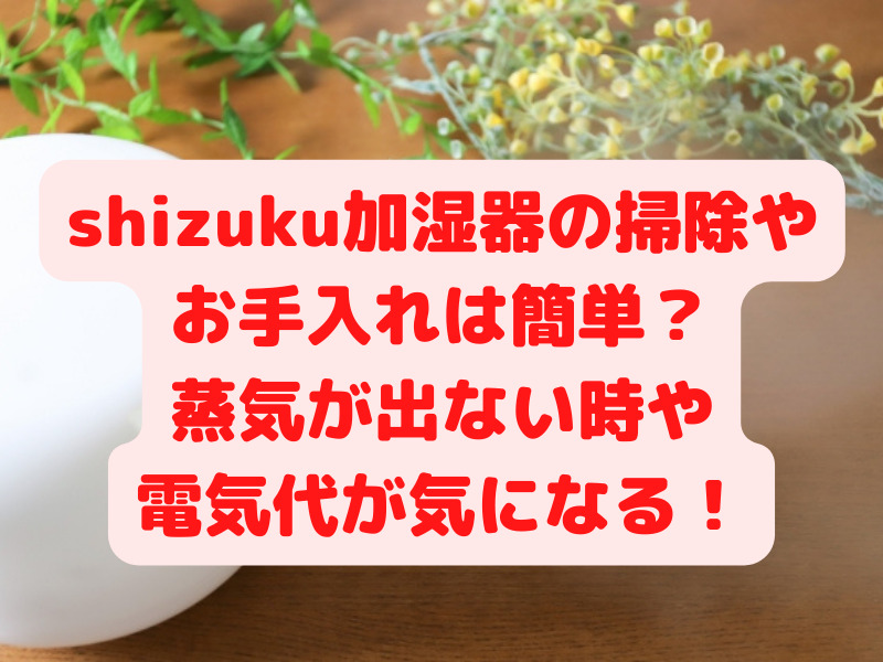 shizuku加湿器のカビ掃除やお手入れは簡単？蒸気が出ない時や電気代が気になる！ - すぐるんママチャンネル